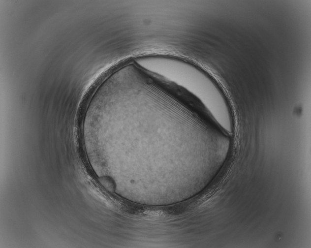 X0000115680391200912031424