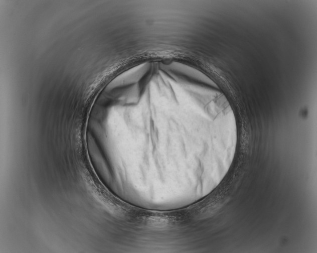 X0000115680394200912031424