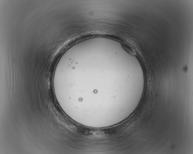 X0000115680395200912031424