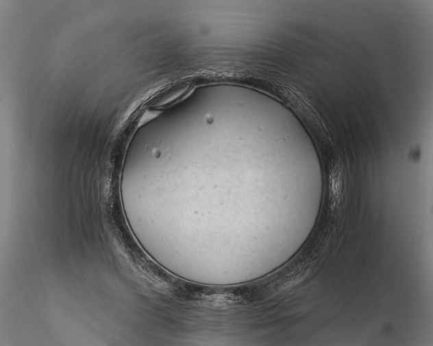 X0000115680396200912031424