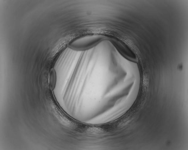 X0000115680397200912031424