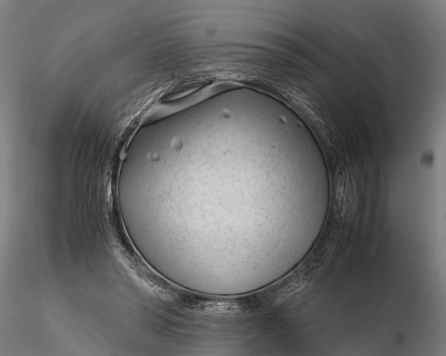 X0000115680398200912031424