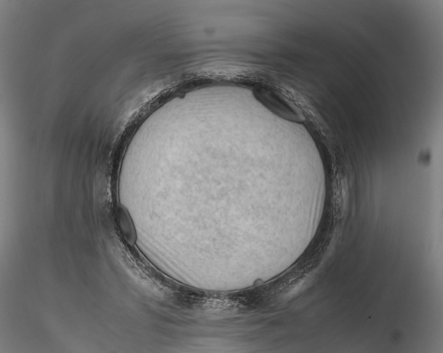 X0000115680399200912031424