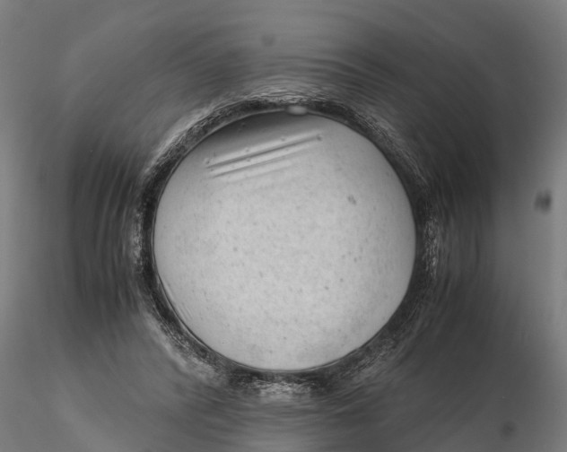 X0000115680400200912031424