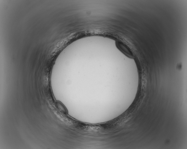 X0000115680401200912031424