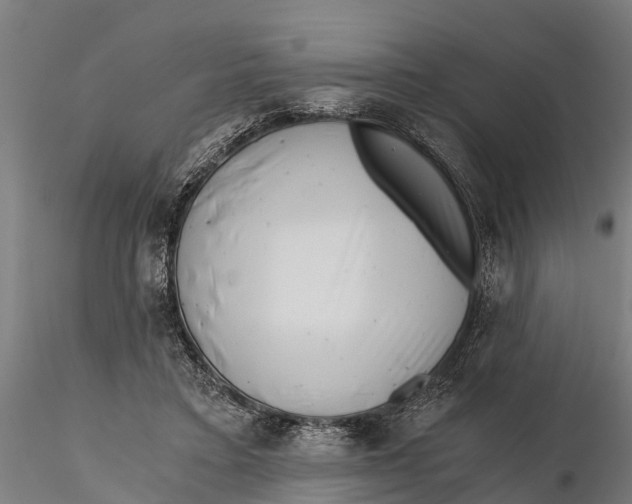 X0000115680403200912031424