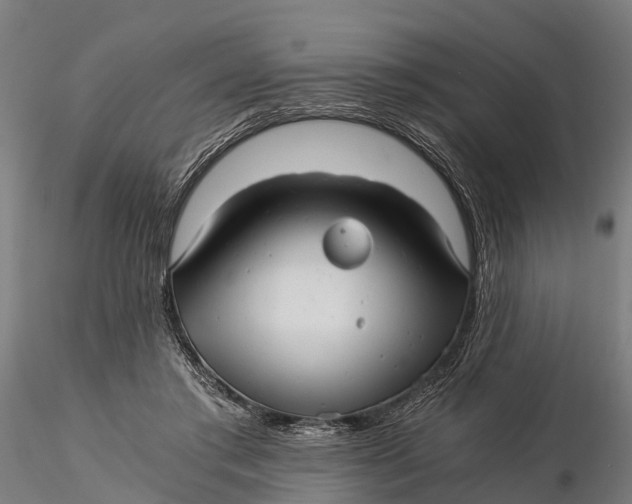 X0000115680405200912031424