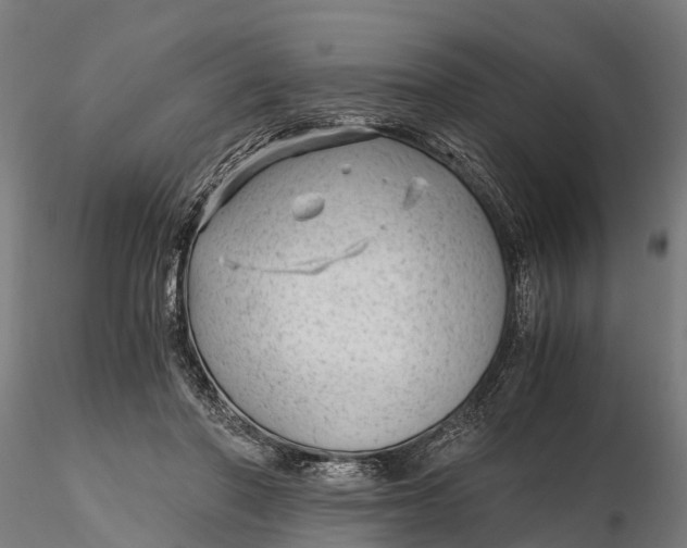 X0000115680406200912031424