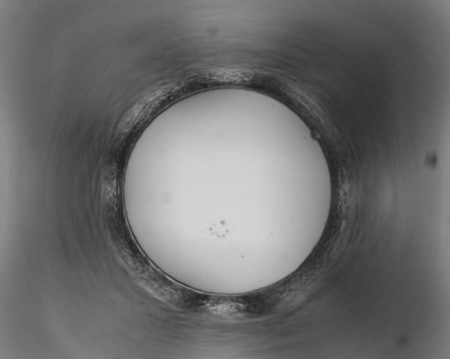 X0000115680407200912031424