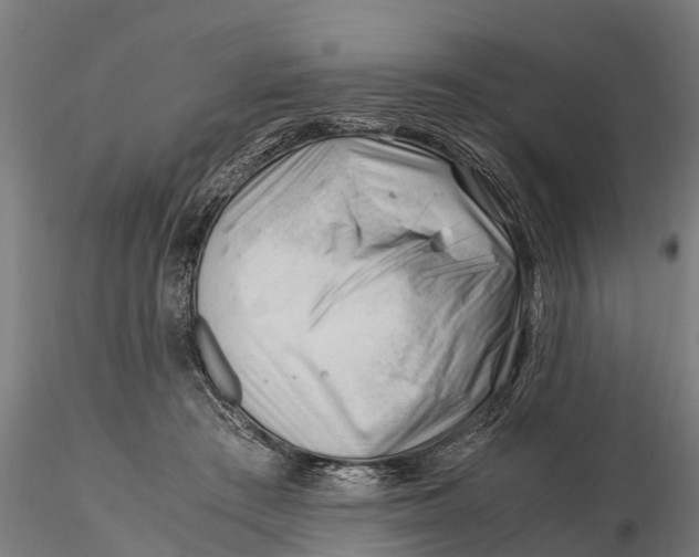 X0000115680409200912031424