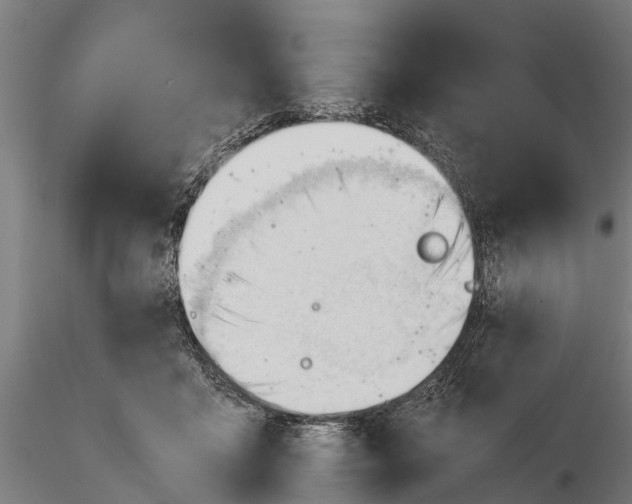 X0000115680411200912031424