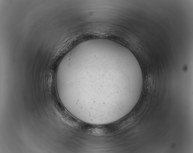 X0000115680412200912031424