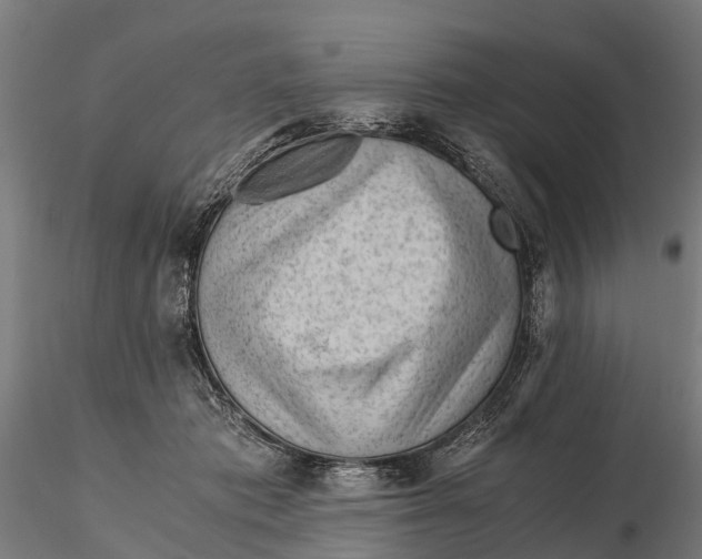 X0000115680413200912031424