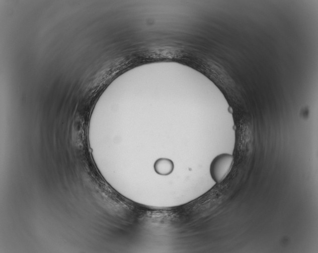 X0000115680414200912031424