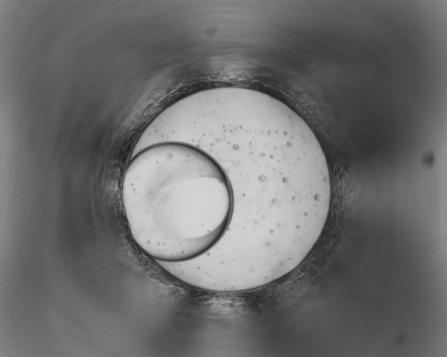 X0000115680415200912031424