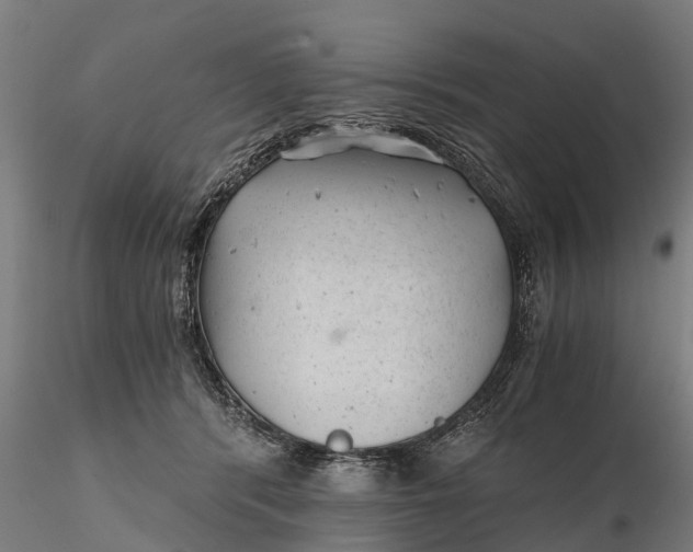 X0000115680416200912031424