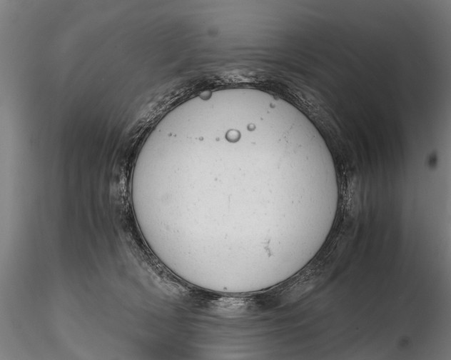 X0000115680418200912031424