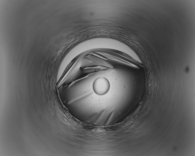 X0000115680419200912031424