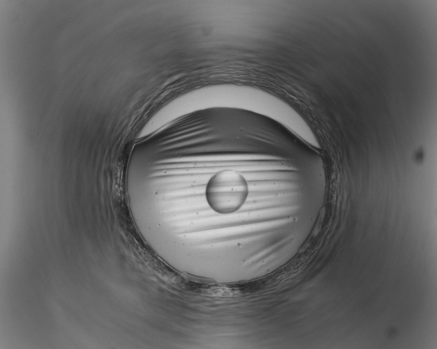 X0000115680421200912031424