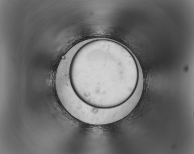 X0000115680423200912031424