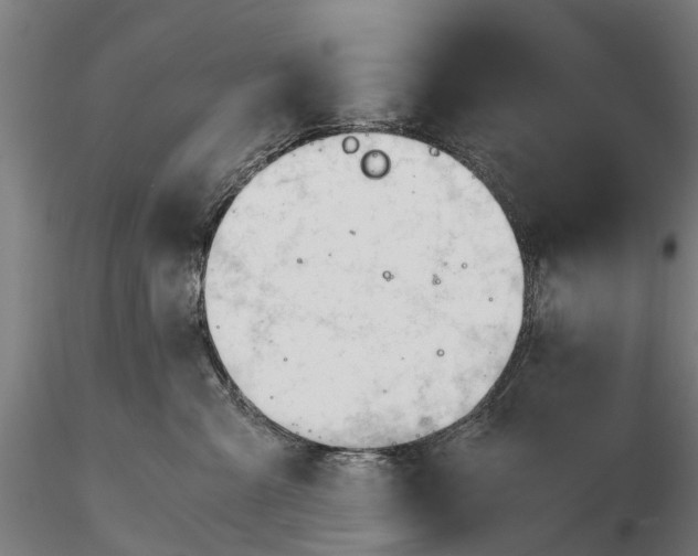 X0000115680427200912031424