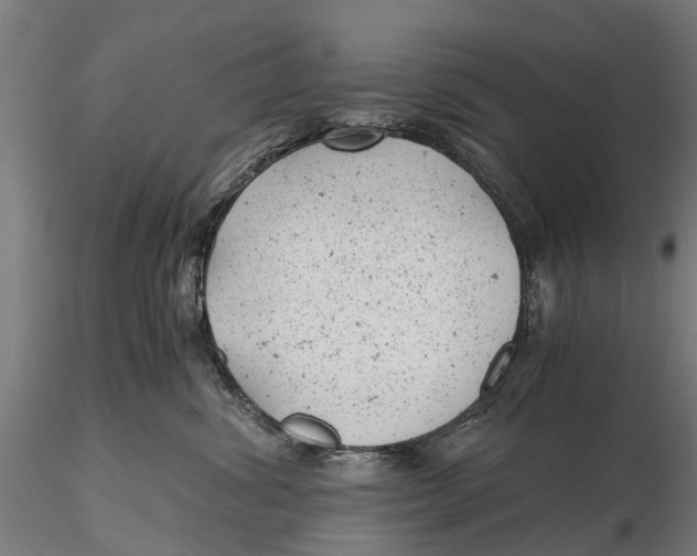 X0000115680428200912031423