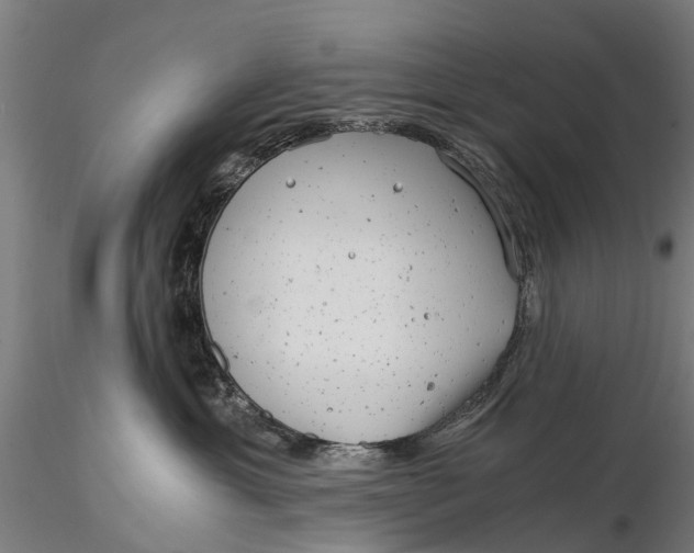 X0000115680429200912031423