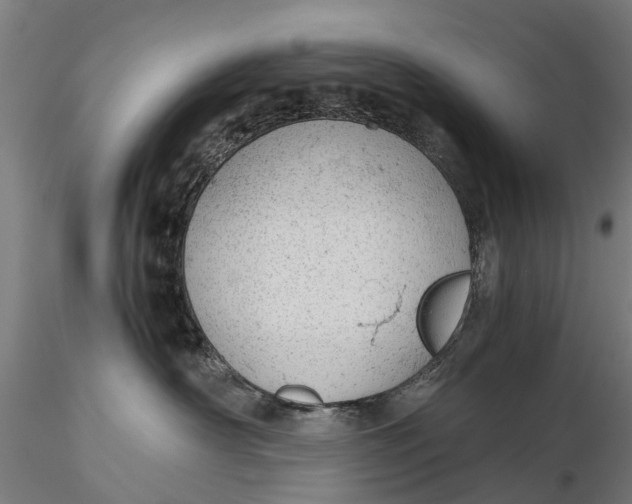 X0000115680430200912031423