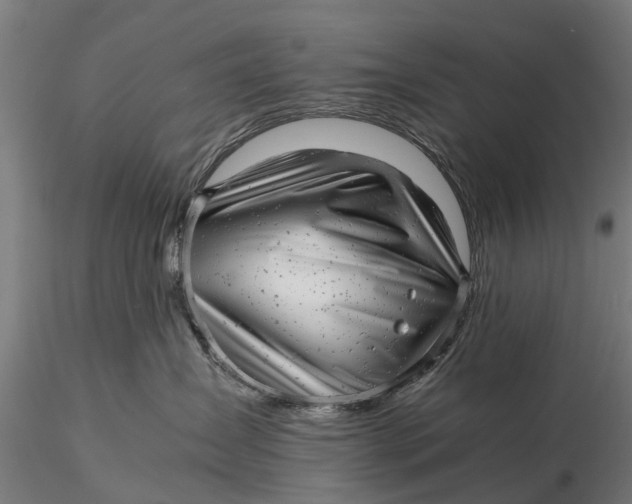 X0000115680431200912031423