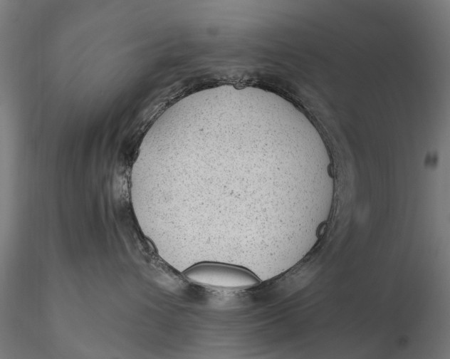 X0000115680432200912031423