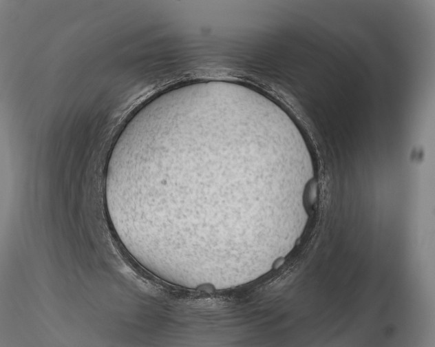 X0000115680433200912031423