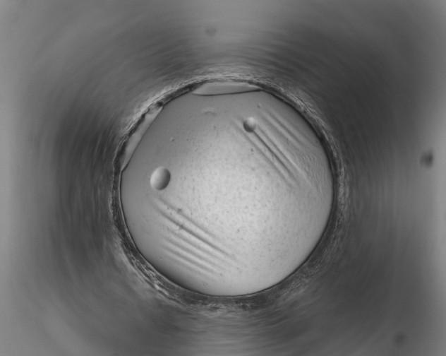 X0000115680434200912031423