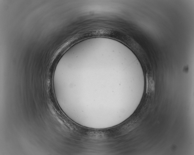 X0000115680435200912031423