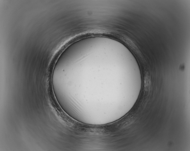 X0000115680436200912031423