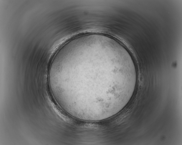 X0000115680437200912031423