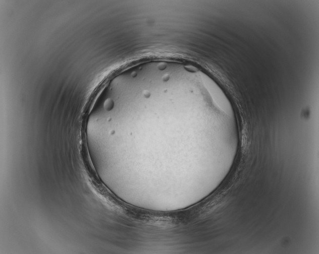 X0000115680438200912031423