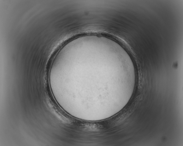 X0000115680439200912031423