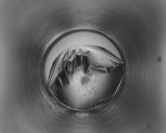 X0000115680440200912031423