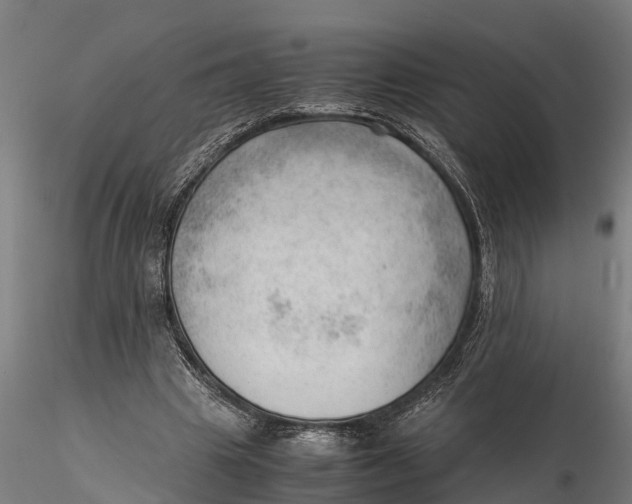 X0000115680441200912031423