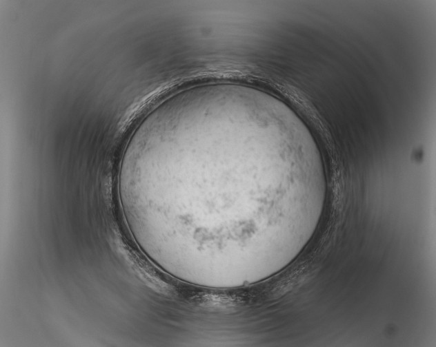 X0000115680442200912031423