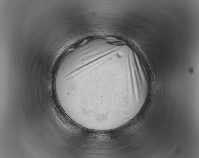 X0000115680443200912031423