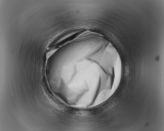 X0000115680444200912031423