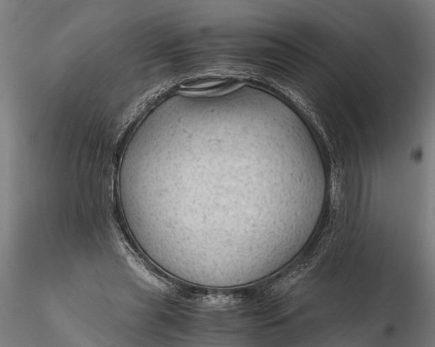 X0000115680445200912031423