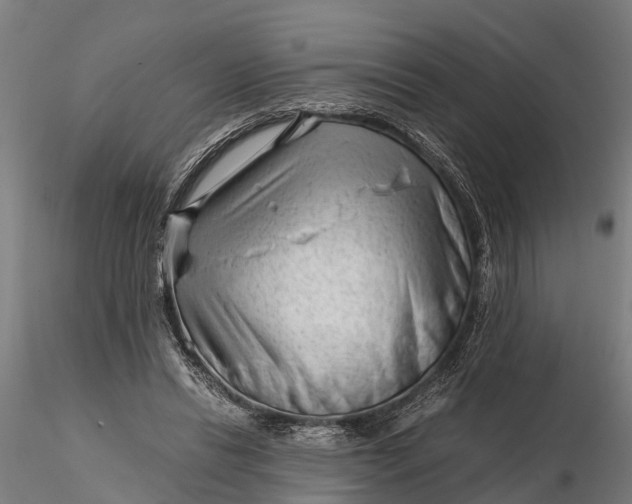 X0000115680446200912031423