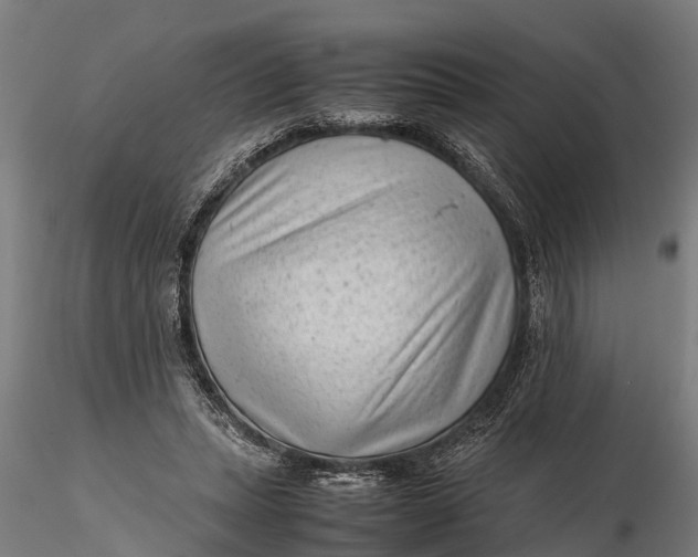 X0000115680447200912031423