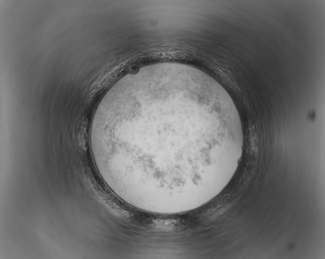 X0000115680450200912031423