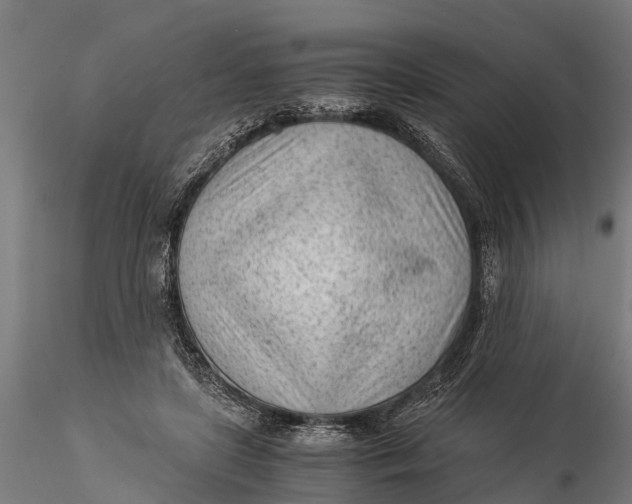 X0000115680451200912031423