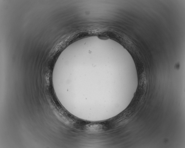 X0000115680452200912031423