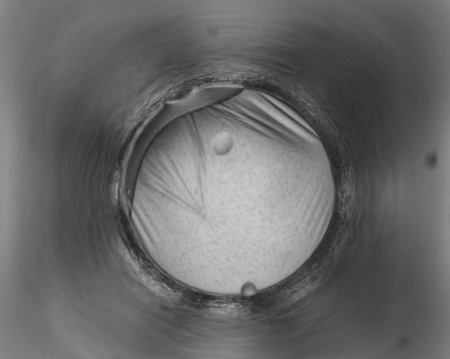 X0000115680454200912031423