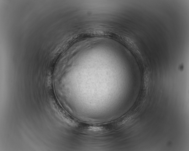 X0000115680457200912031423